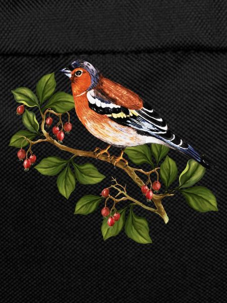 Oiseau