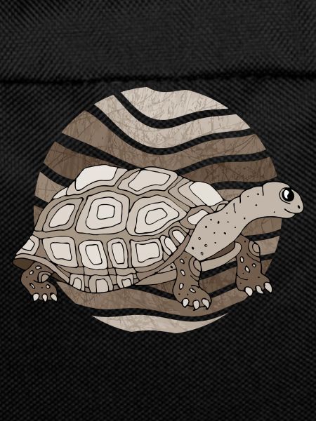 Tortoise