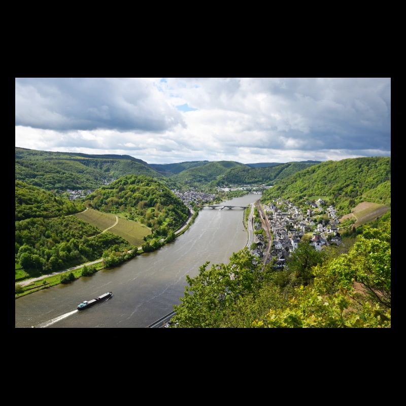 Moselle, Vin, Vignoble, Reil, Panorama