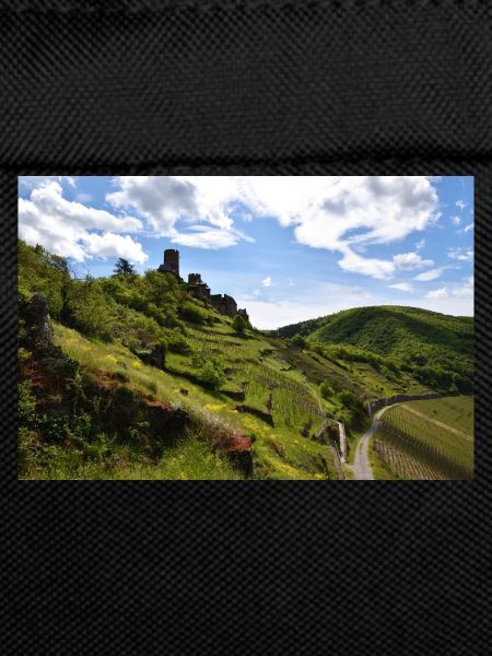 Moselle, castle, vineyard, panorama