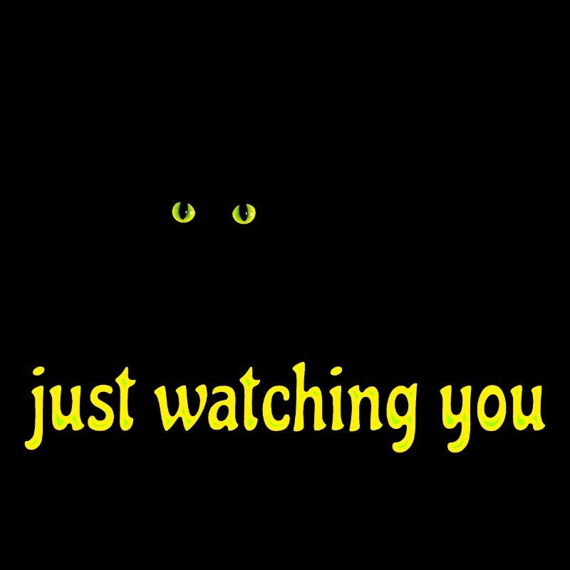 black cat is watching you