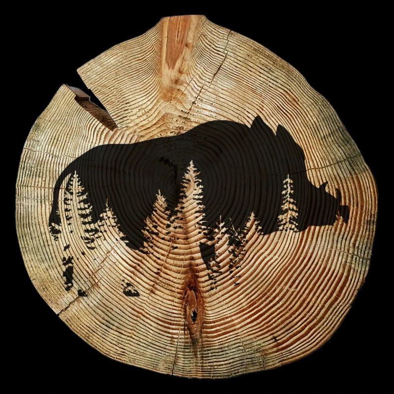 Tree disc wild boar