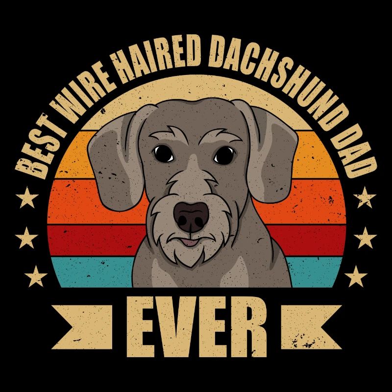 Rough-haired Dachshund Papa