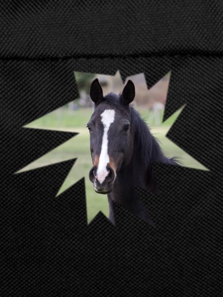 Horse. Horse.