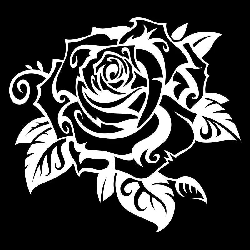 Rose blanche