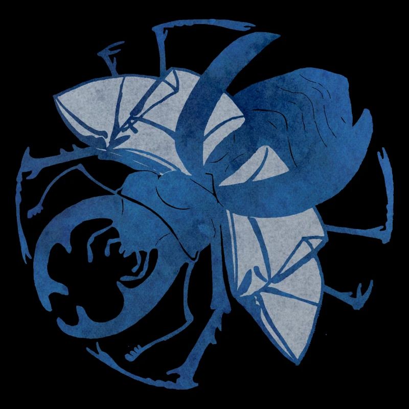 Żuk - Beetle