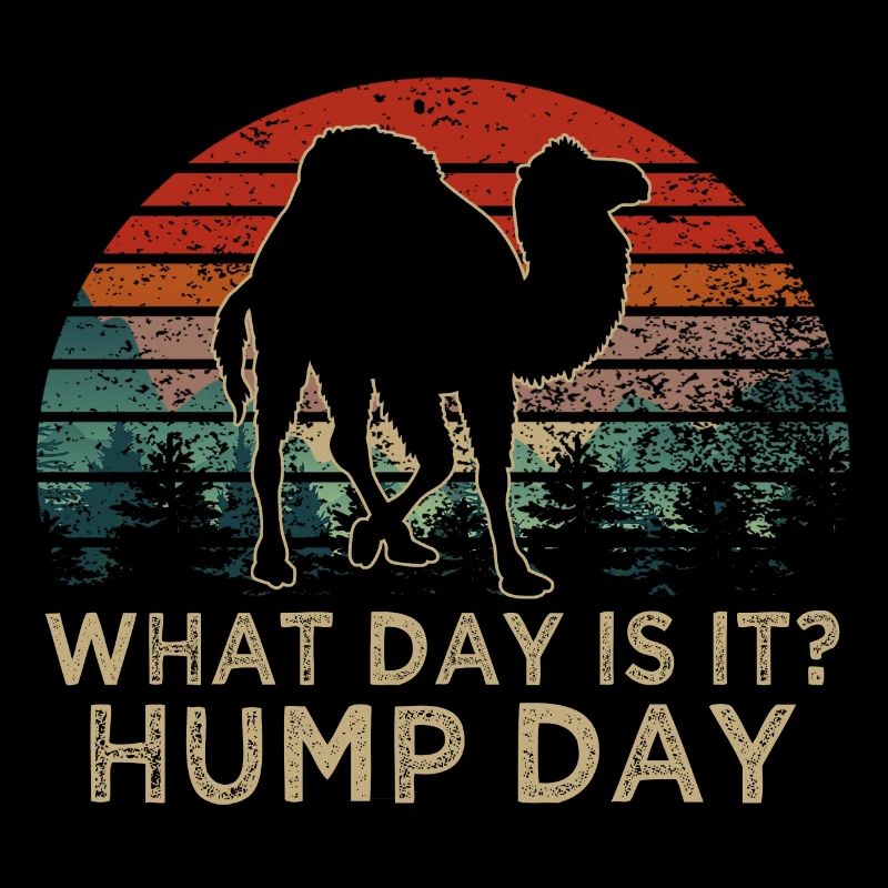 Camel what day is it hump day
