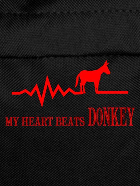 Donkey Esel