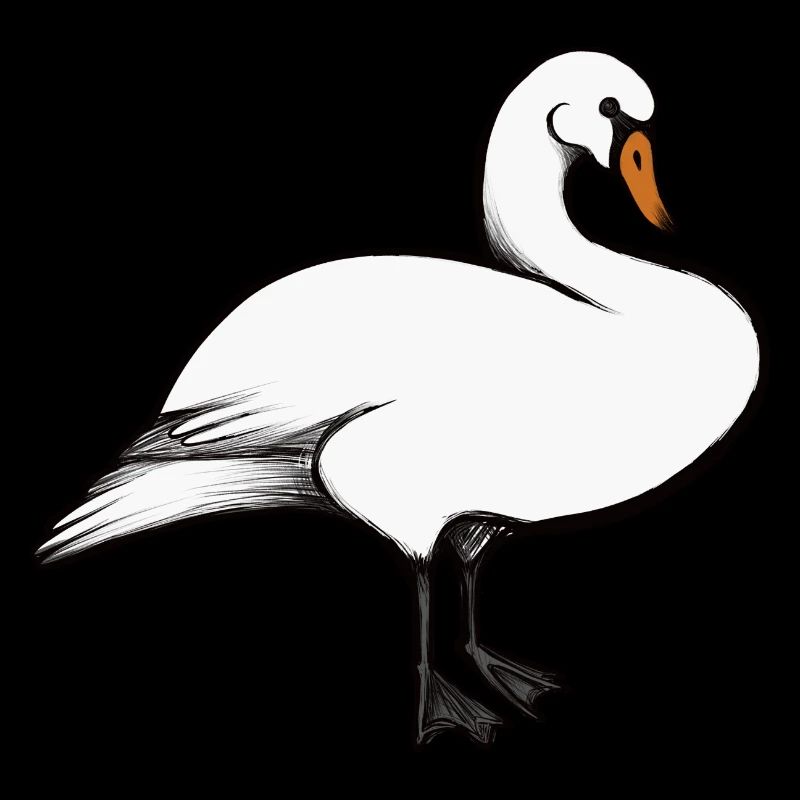 cygne