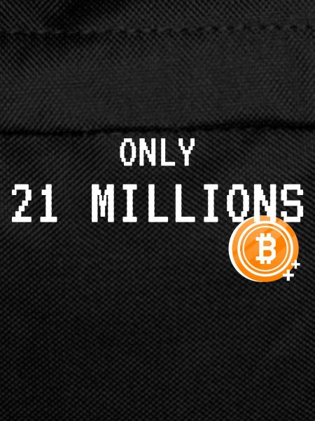 Le Bitcoin