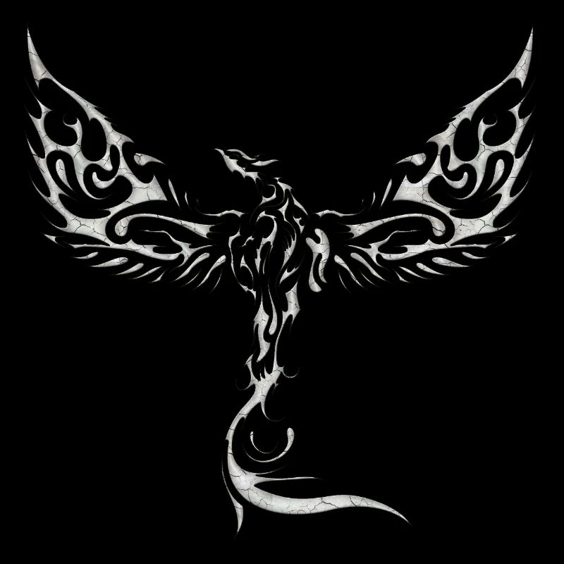Eagles-Eagles-Eagles-Eagles-Bird-Bird