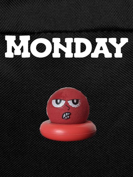 Monday