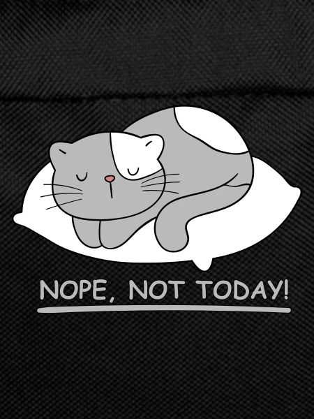 Sleeping cat: Not today!