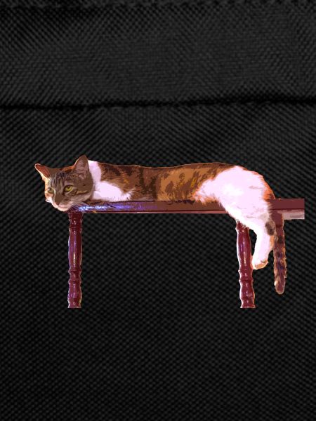 I love cats