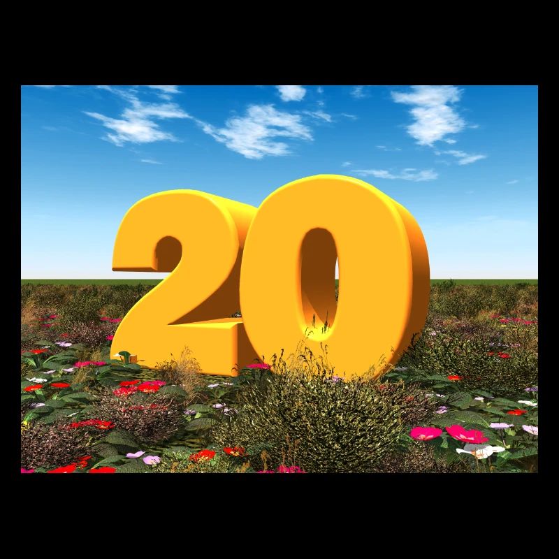 Year 20