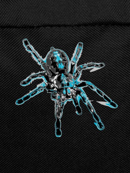 Tiger spider blue, spider