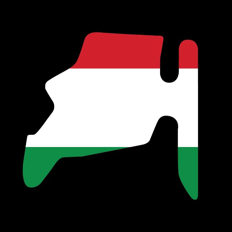Piste de course de Hongrie avec drapeau