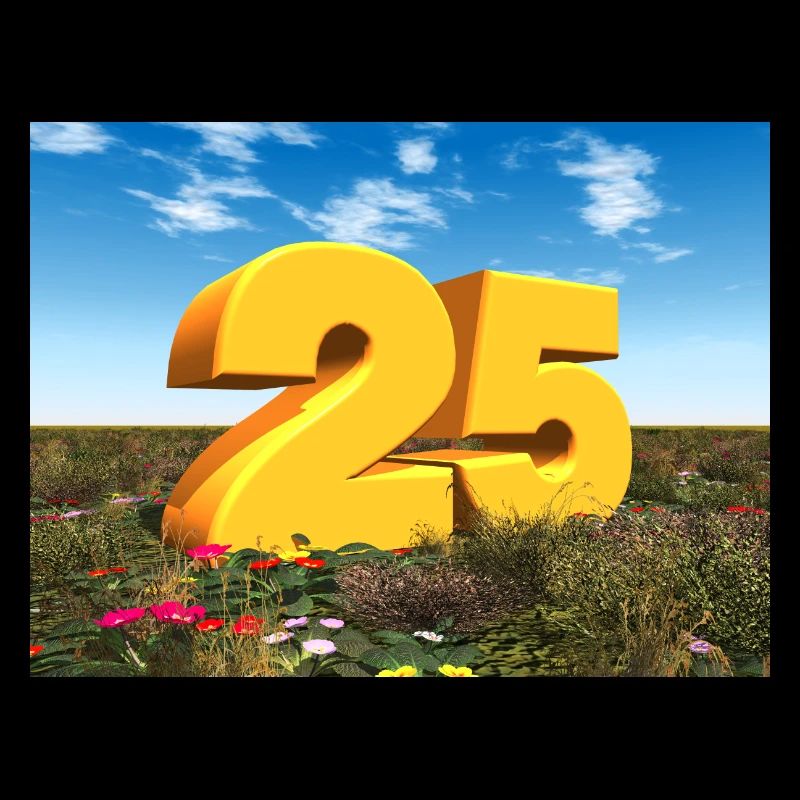 Year 25