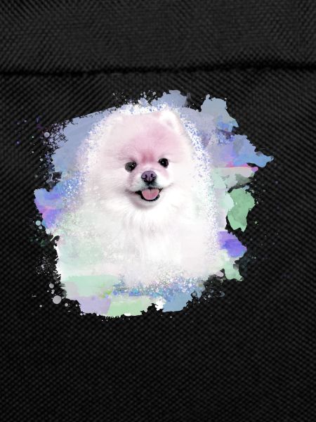 pomerian,zwergspitz,pointed,dog,graffiti,painting