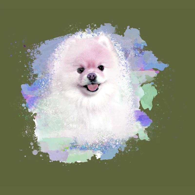 pomerian,zwergspitz,pointed,dog,graffiti,painting
