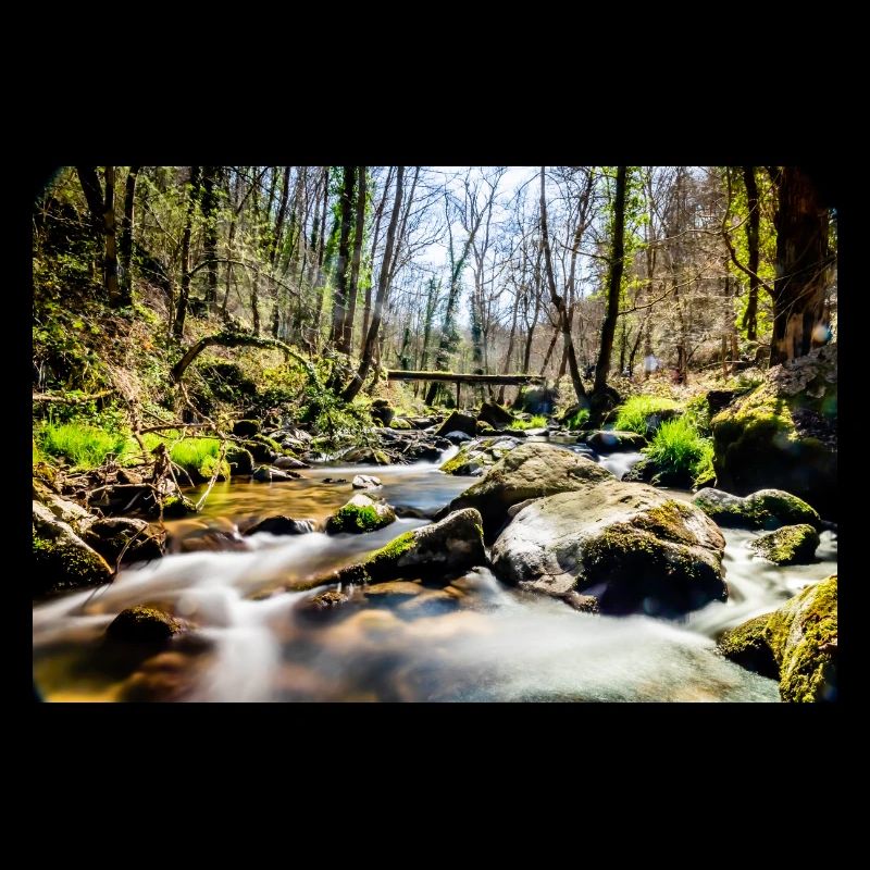 Fluss