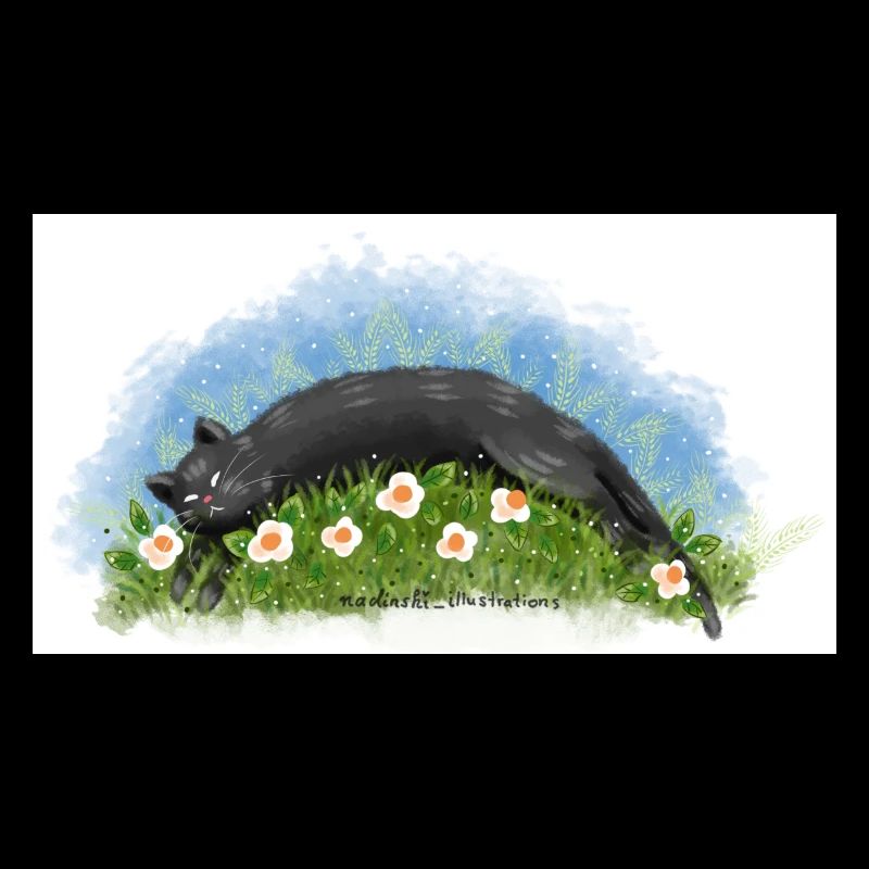 Cat sleeps