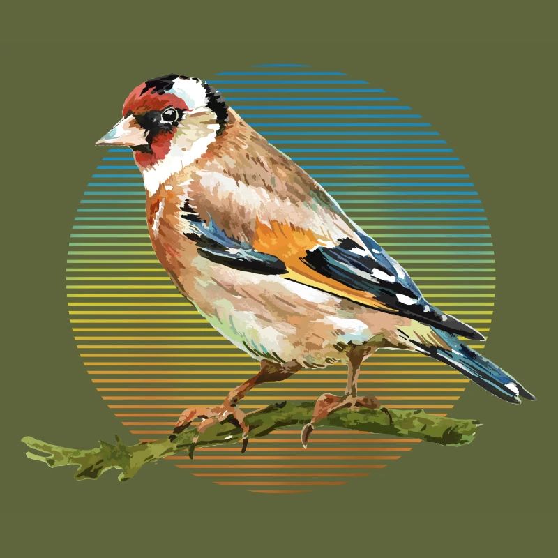 Bunter Vogel