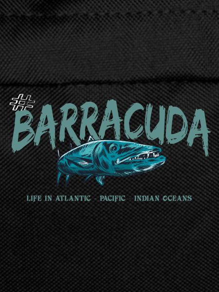 Barracuda Fish Deep Sea Fishing