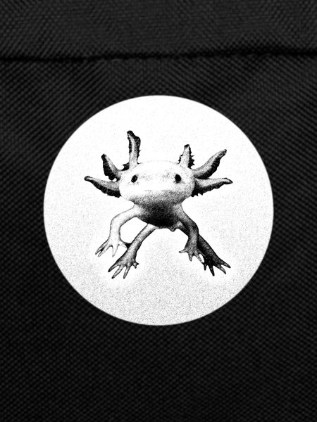 Axolotl