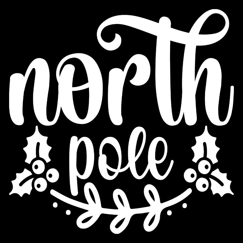 Pôle nord