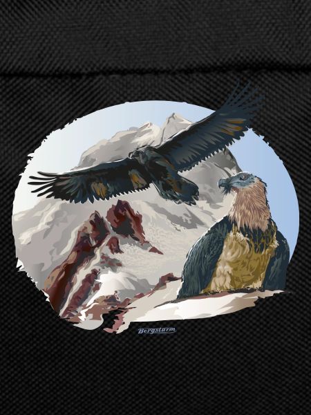 Baret Vulture National Park Berchtesgaden