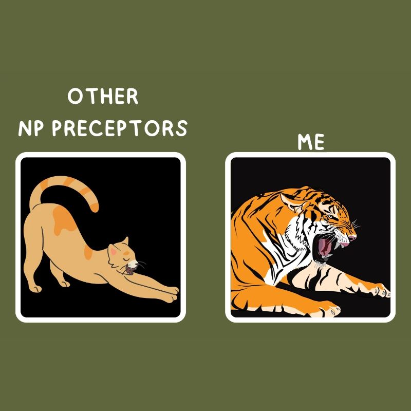 Np Nurse Practitioner Preceptor Funny meme gifts