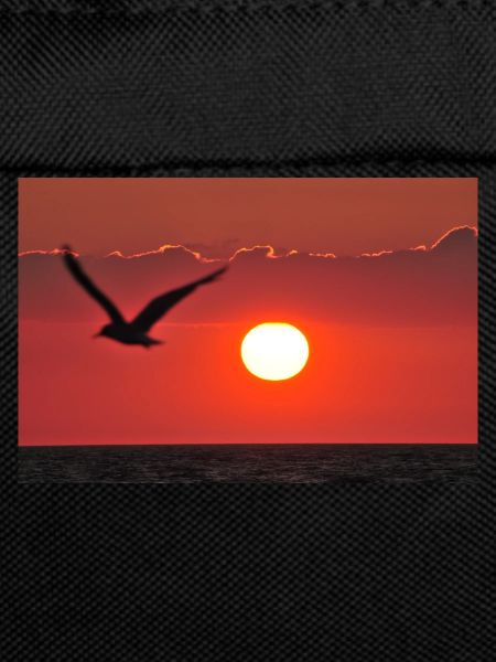 Abendrot mit Möwe