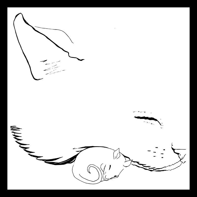 chat et souris
