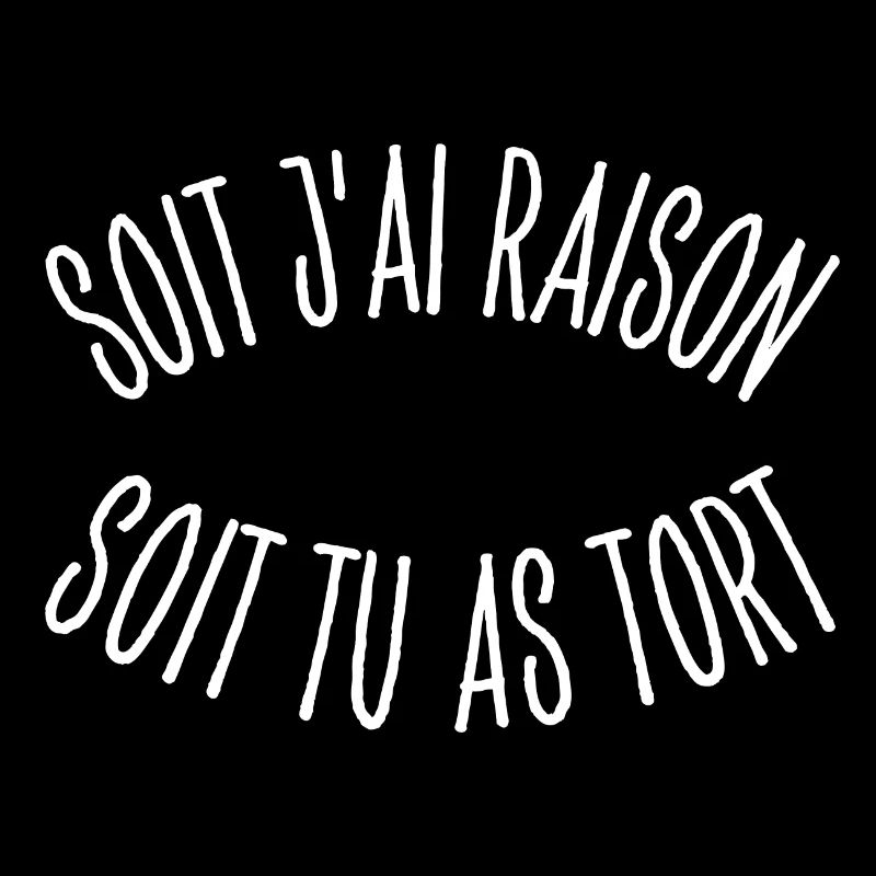 SOIT J AI RAISON SOIT TU AS TORT