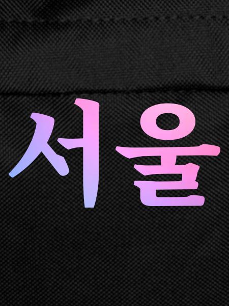Seoul Korean Language