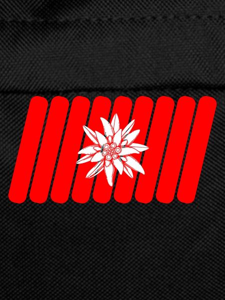 Swiss flag