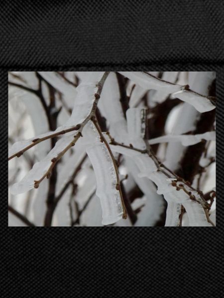 Ice on branches