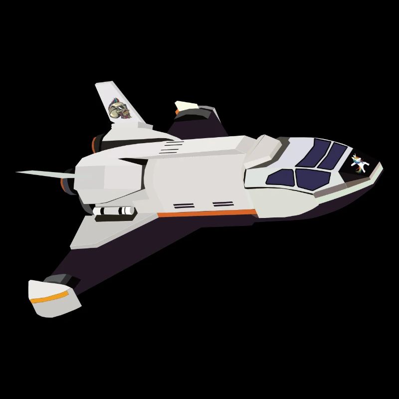 Space Shuttle Flug