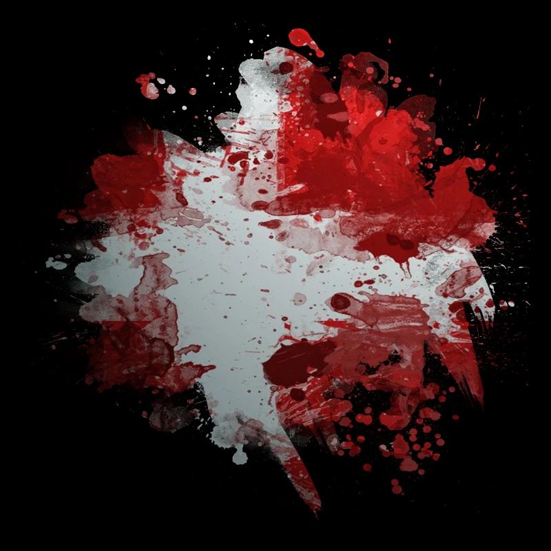 Danemark copenhague drapeau danois scandinavie