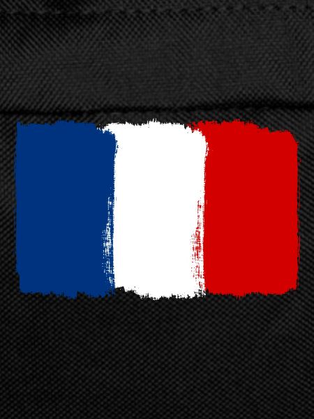 France flag used look