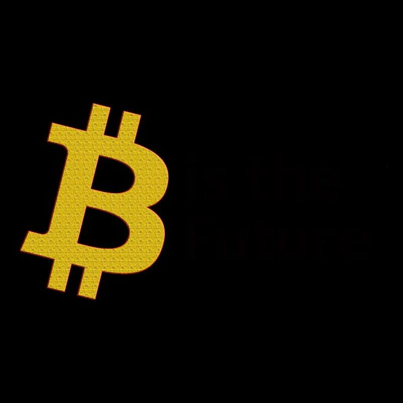 Bitcoin is the future