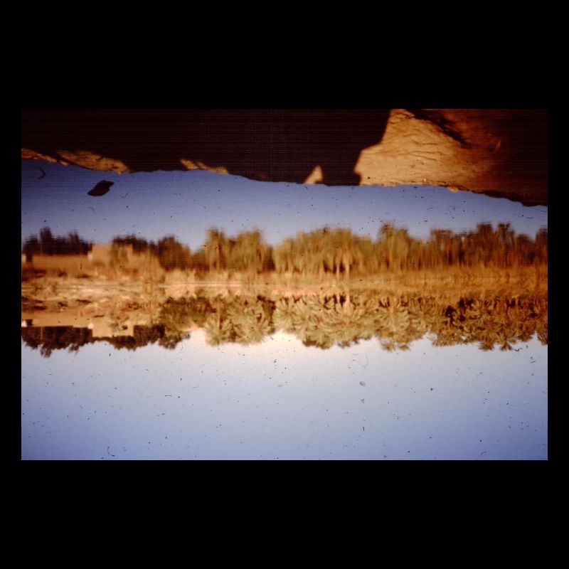 Lake Forest View