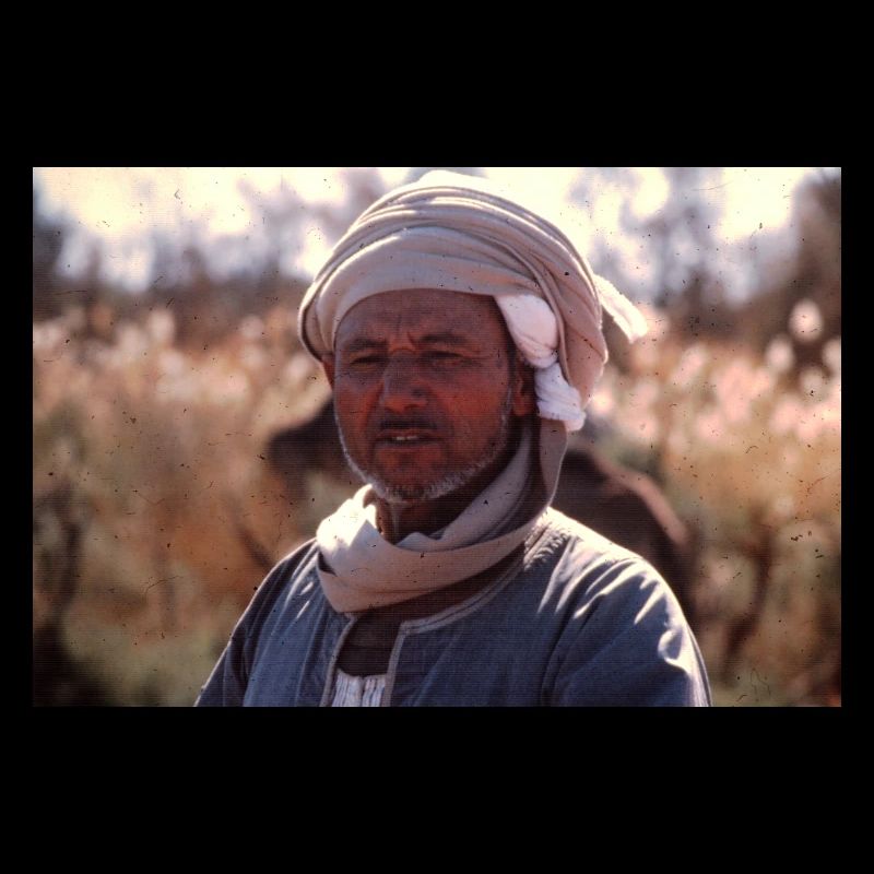 Retro Egypt Man