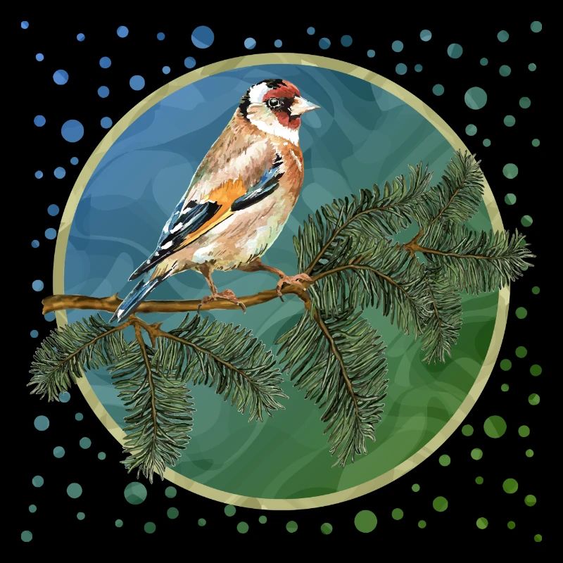 Colorful bird