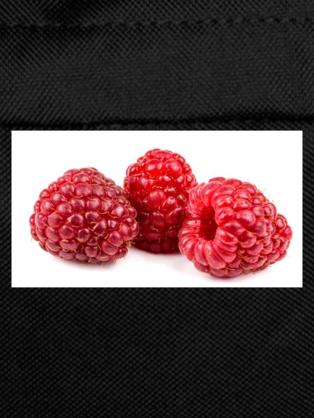 Raspberry. Raspberry