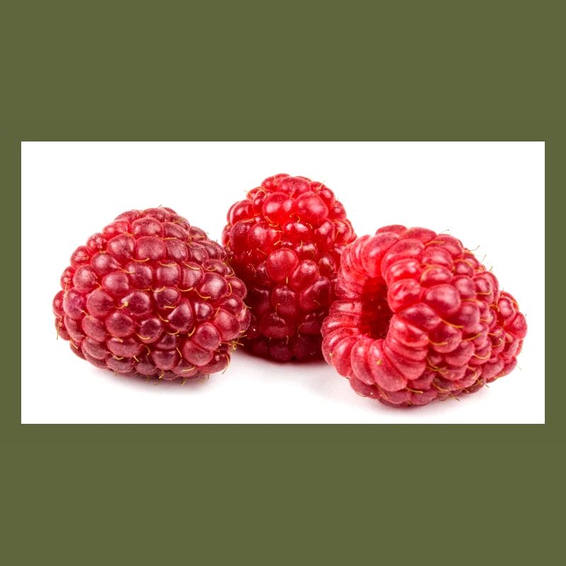 Raspberry. Raspberry