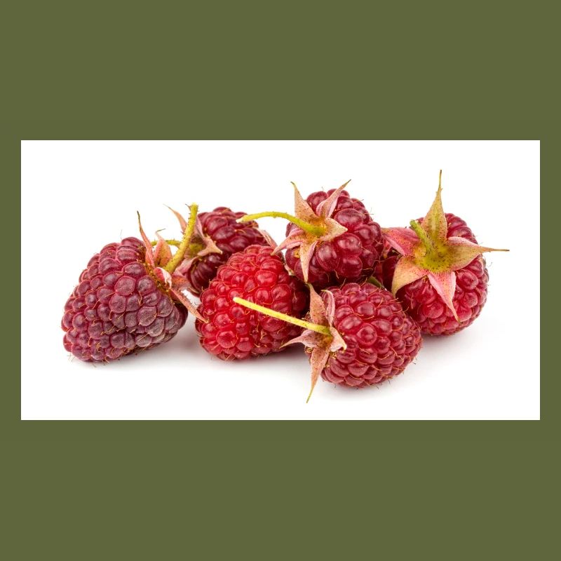 Raspberry. Raspberry