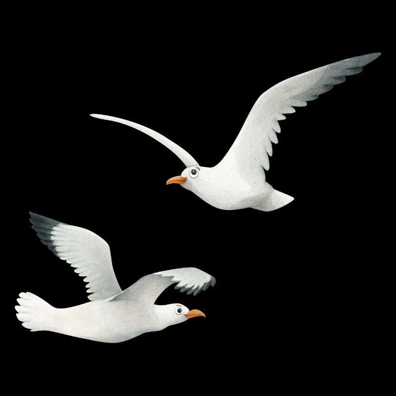 drôles de mouettes