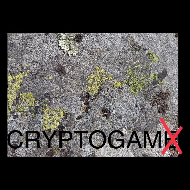 Cryptogam - pas un cryptogame